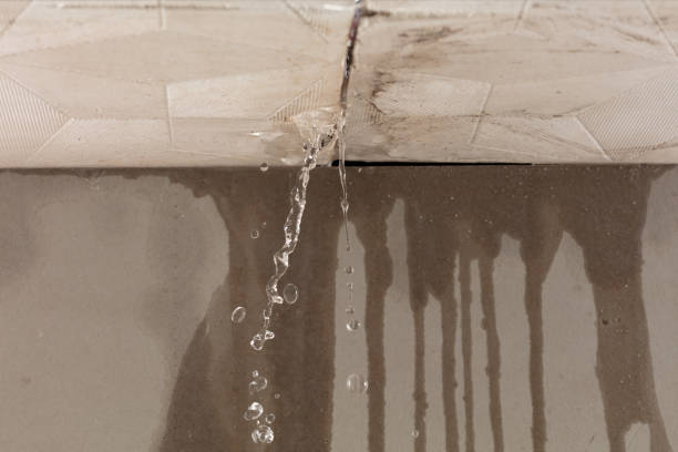 Professional Structural Drying technician working in Springtown, PA